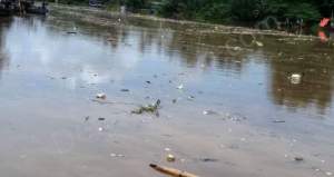 Sampah menumpuk di Tanjung Burung Dikeluhkan warga