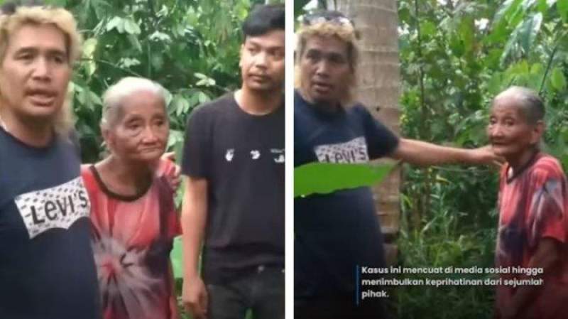 Dituduh Curi 20 Kelapa, Seorang Nenek Dilaporkan dan Diminta Ganti Rugi Rp6 Juta