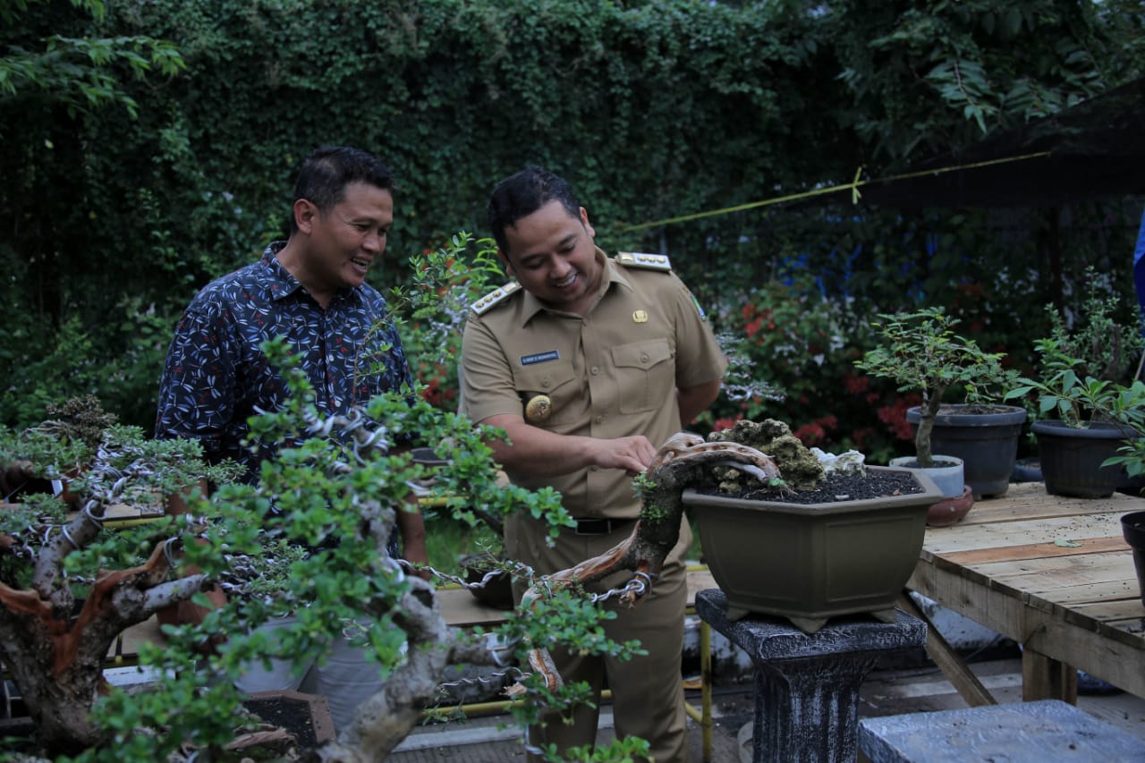 Arief Ajak Ramaikan Pameran Bonsai Karena Tak Sekedar Seni dan Bernilai Ekonomi Juga Bentuk Peduli Terhadap Lingkungan 2