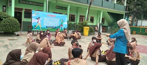 Pengembangan Urban Farming Melalui Sistem Hidroponik 2