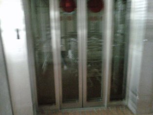 IMG00944-20131111-1410