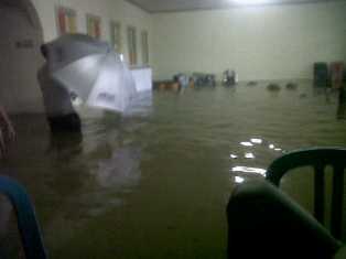 IMG02621-20131113-1421