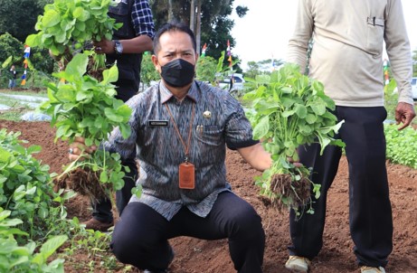Wujudkan Tangerang MANTAP DPKP Luncurkan Program Eduwisata Agribisnis