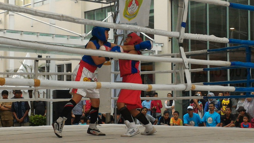 Jadikan Olahraga Sebagai Sumber Devisa2