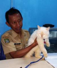 Puskeswan DKP Kota Tangerang Berikan Pelayanan Gratis