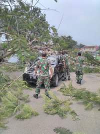 Mobil tertimpa pohon di Lebak