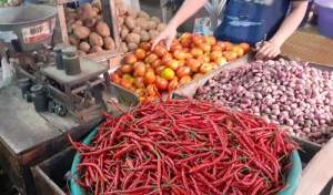 Cabai, Bawang, Tomat Sebagai Bahan Dasar Masakan