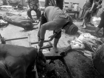 Lakukan Penyembelihan Hewan Qurban, Masjid Al-Auliyaa Terapkan Prokes dengan Ketat