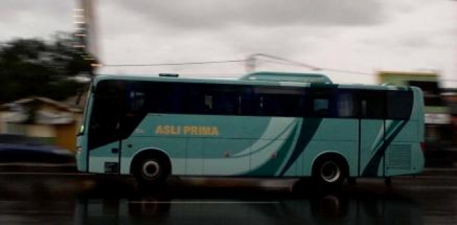 Bus Asli Prima