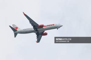 Ilustrasi Lion Air. (Aip/Detak)