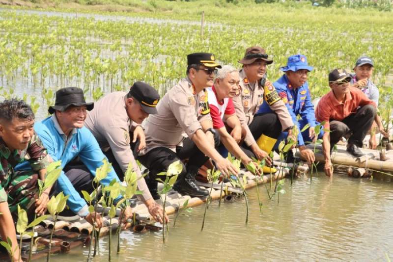 Polresta Tangerang  Tanam Ribuan Bibit Pohon Mangrove Di Mauk