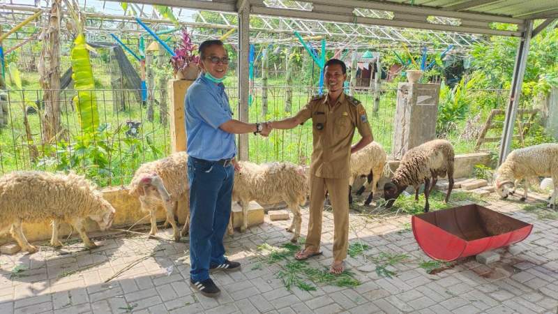 Tingkatkan Gizi Masyarakat, IKPP Serang Berikan Bantuan 54 Hewan Kurban