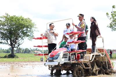 Presiden RI Buka Gerakan Tanam Padi Serentak di 14 Provinsi