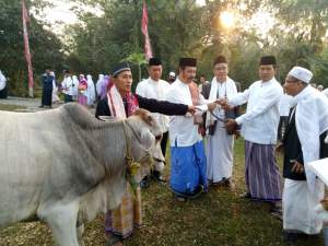 Pemkab Tangerang Bagikan 30 Hewan Kurban