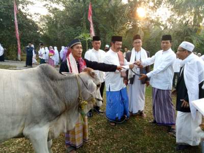 Pemkab Tangerang Bagikan 30 Hewan Kurban