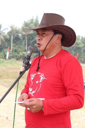 Pemkab Tangerang Gelar Kontes Sapi