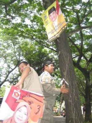 Pondok Aren- Trantib kembali copot atribut caleg. Kamis (31/10)