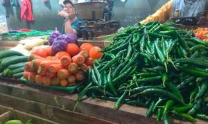 Harga Sayuran Saat Ini Terus Melambung