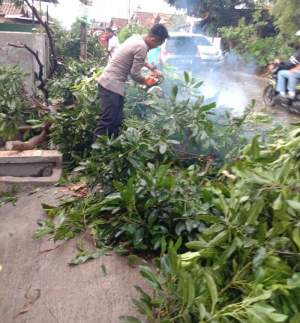 Cuaca Buruk, Ditsamapta dan Ditlantas Polda Banten Bersihkan Pohon Tumbang