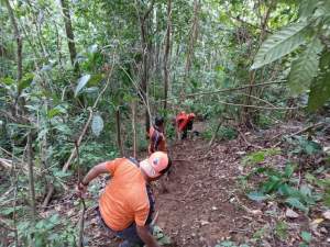 Tim SAR Madina cari pria hilang di hutan