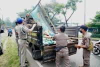 Satpol pp mencopot ratusan spanduk liar