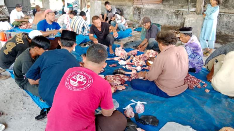 Alfata Community Bersama Warga Qurban 3 Ekor Sapi