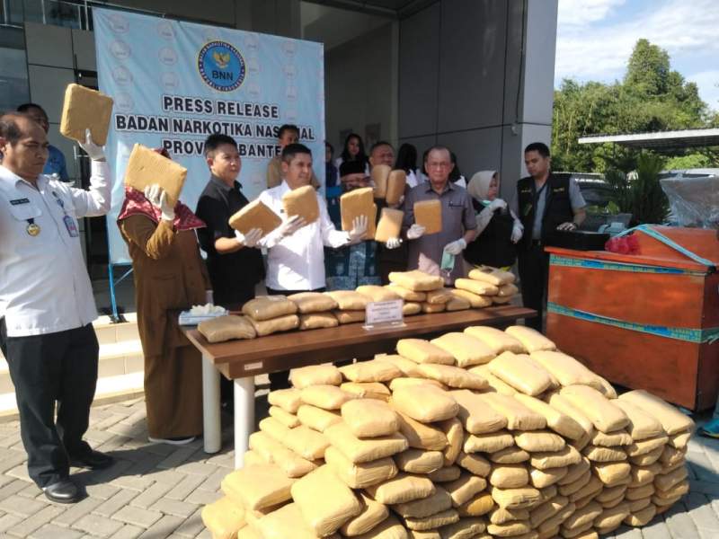 BNNP Banten Musnahkan Ratusan Narkotika Jenis Ganja