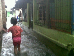 Puluhan Rumah Di Lingkungan Rokal Kota Cilegon Terendam Banjir