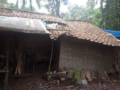 Diami Gubuk Reyot, Janda Beranak Delapan Tak Tersentuh Bantuan