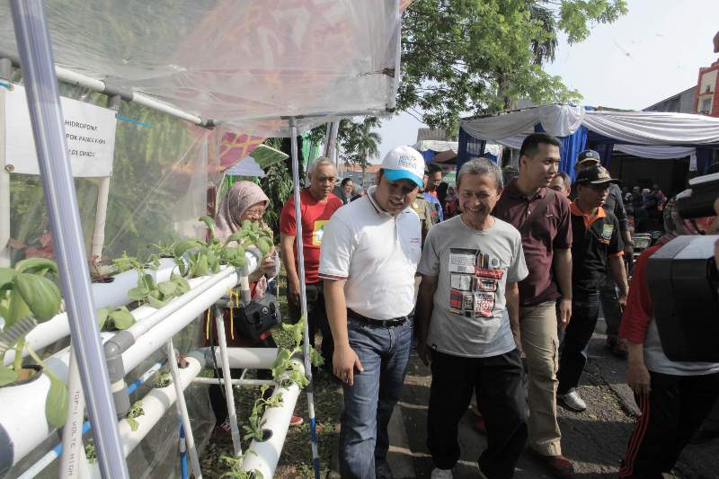 Kebun hidroponik di Kota Tangerang.