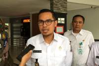 Wakil Walikota Tangerang Selatan, Pilar Saga Ichsan