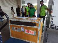 Dua Orangutan Asal Jawa dievakuasi ke Pusat Rehabilitasi Bukit Mas Besitang Langkat