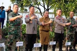Kapolda dan Wakapolda Banten Ikuti Puncak Penanaman Mangrove Nasional