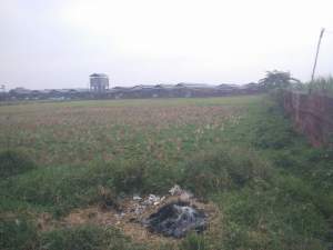 Situ Sitengin di Kecamatan Kemiri, Kabupaten Tangerang.