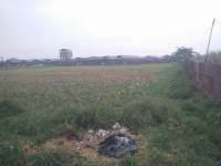 Situ Sitengin di Kecamatan Kemiri, Kabupaten Tangerang.