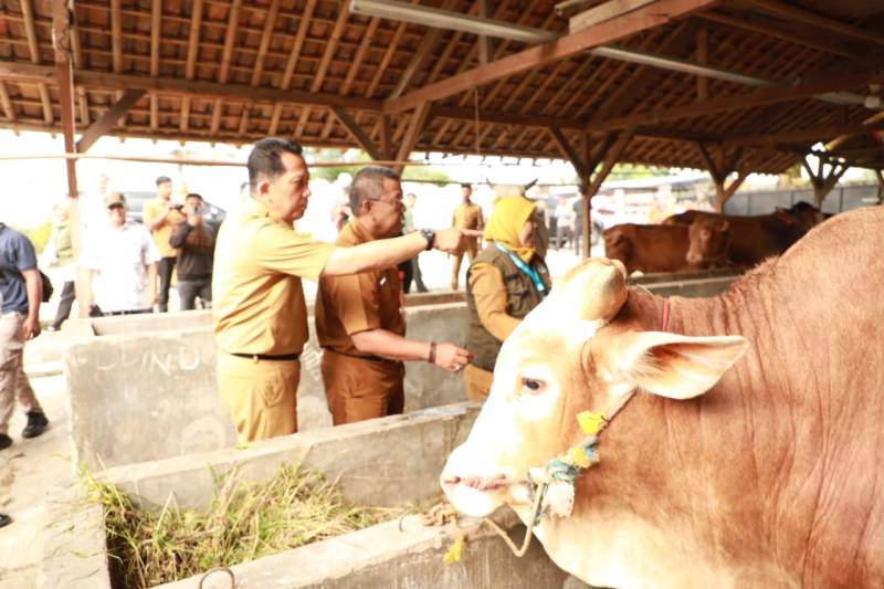 Pj Bupati Tangerang Sidak ke Lapak Hewan Kurban