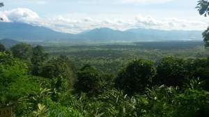 Rawa Danau, Kawasan Wisata Alami Miliki 131 Spesies Endemik Flora dan Fauna