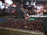 Cikupa- Jengkol di Pasaran mulai naik sebesar 20% di Tangerng.Kamis (07/11)