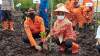 Kantor Basarnas Nias tanam pohon mangrove menyambut HUT ke-50 Basarnas.(istimewa).