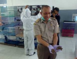 Hewan dan Tumbuhan Ilegal Diserahkan ke Taman Safari