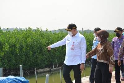 Pembangunan dan Penanganan Kawasan Kumuh di Ketapang Dipuji Bappenas