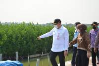 Pembangunan dan Penanganan Kawasan Kumuh di Ketapang Dipuji Bappenas