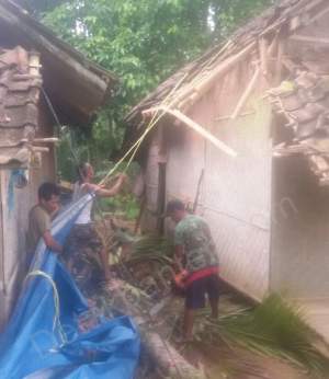 Rumah Nenek Renta Rusak Tertimpa Pohon Runtuh