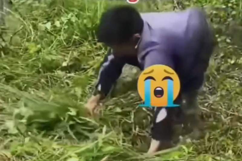 Mengubah Persepsi Ketika Keterbatasan Fisik Tidak Menghalangi Semangat Kerja Keras