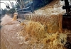 Hujan Sepanjang Hari, 4 Sungai Besar Meluap