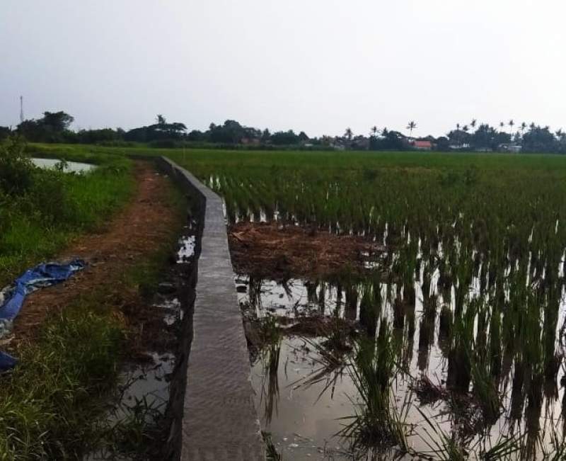 Kades Kayu Bongkok Wujudkan Akses Jalan Menuju Makam, Warga Sumringah