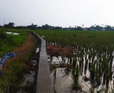 Kades Kayu Bongkok Wujudkan Akses Jalan Menuju Makam, Warga Sumringah