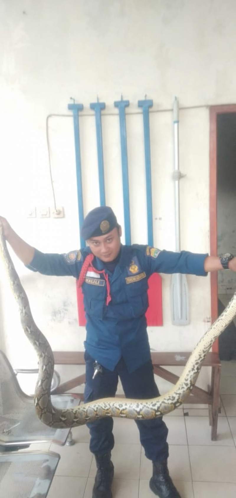 Masyarakat Cimuncang Digegerkan Ular Sanca Sepanjang 2,5 Meter