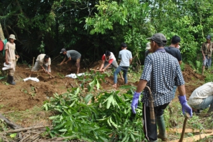 TPU Dibongkar Untuk Dibangun Pabrik Gula
