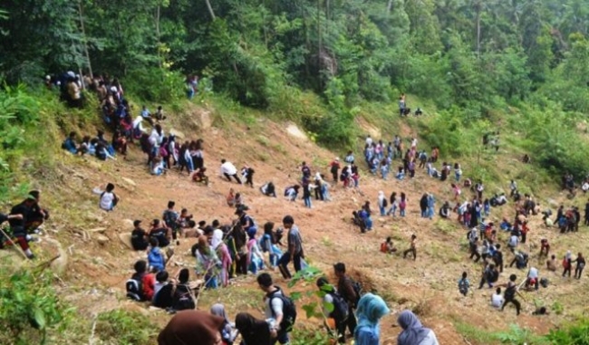 Pemerintah Harus Perhatikan Hutan Pegunungan